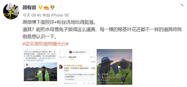 极限挑战国家二级保护植物